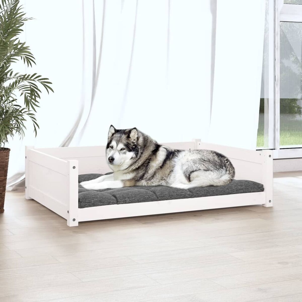 Hundebett mit einem Hund, der auf dem Bett liegt. Helles Holz und graues Kissen. Weißer Hintergrund.