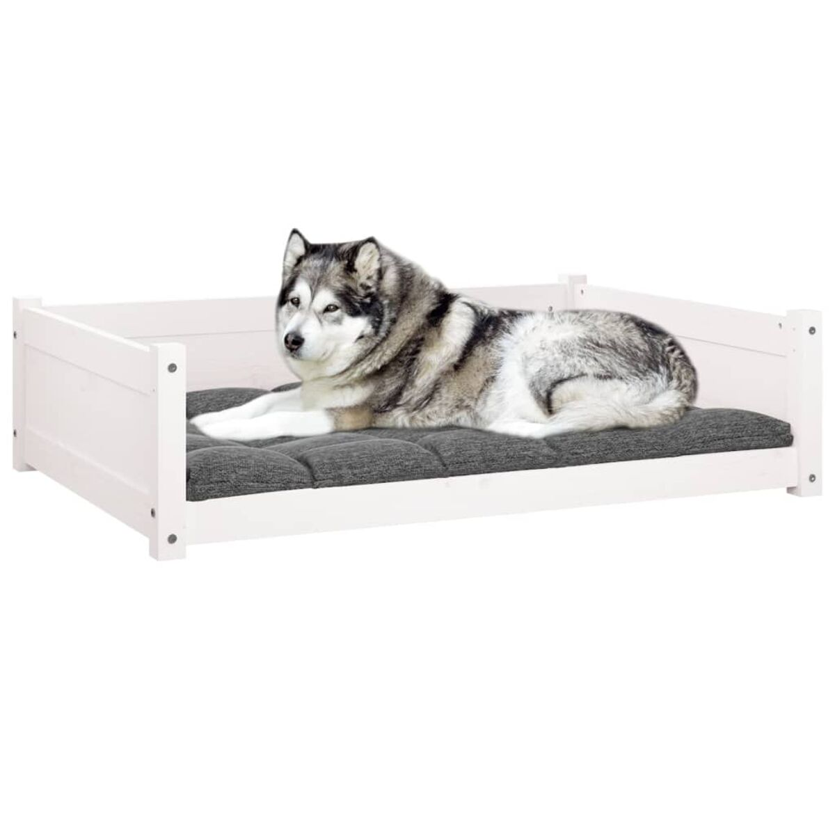 Hund liegt auf weißem Bett mit grauem Kissen.