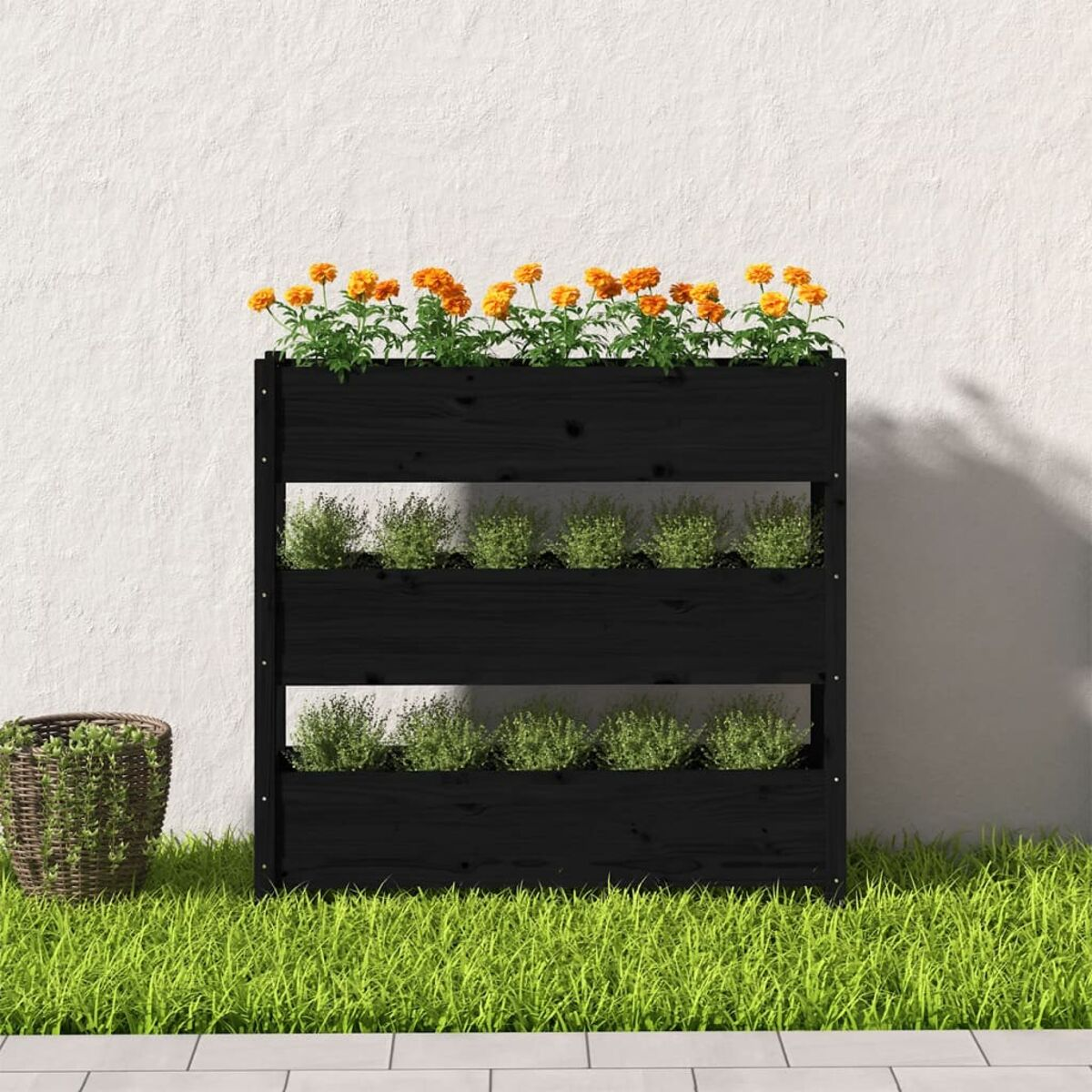 Schwarzer Pflanzkasten mit drei Pflanzebenen und orangen Blumen, vor weißer Wand.