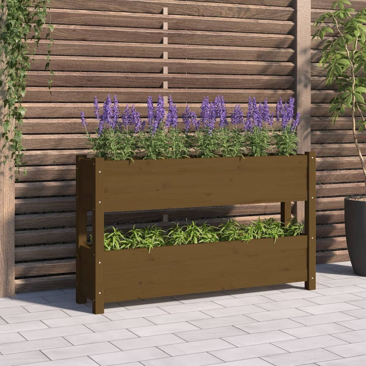 Holzpflanzer mit Lavendel. Zwei Ebenen, braunes Holz, mit Holzzaun im Hintergrund.