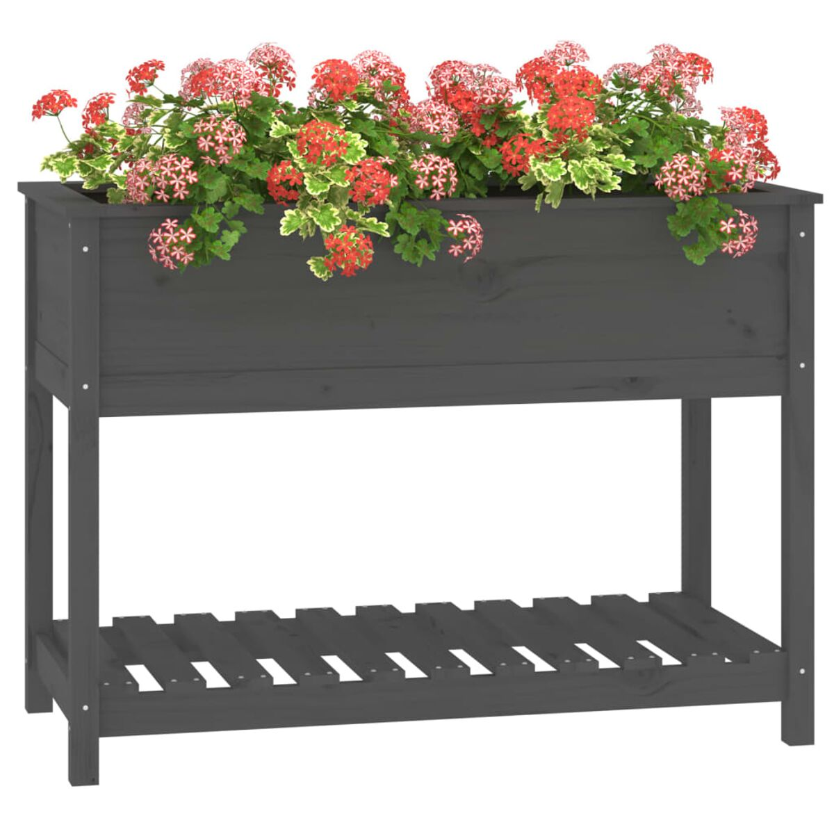Dunkelgrauer Pflanzkasten mit Blumen. Verfügt über ein unteres Regal. Die Szene ist auf weißem Hintergrund.
