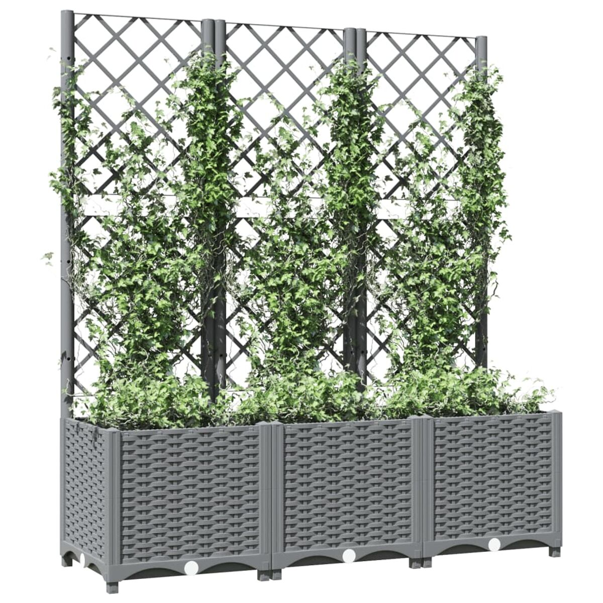 Grauer Pflanzkasten mit Gitter, drei grüne Pflanzensäulen. Weißer Hintergrund.