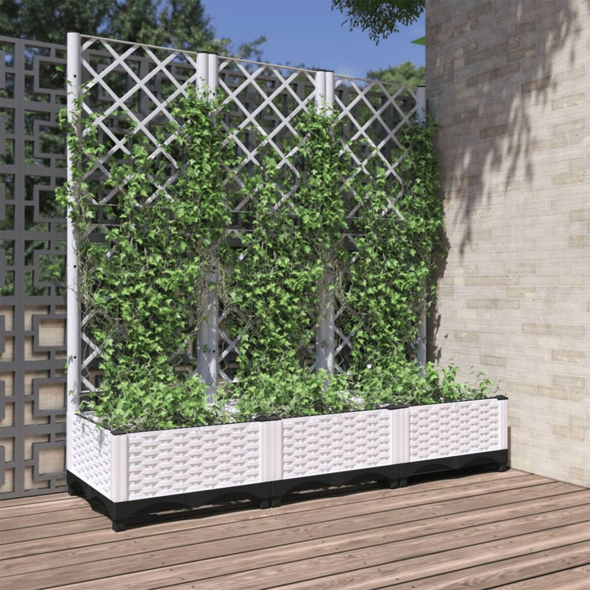 Pflanzkasten mit grünen Reben vor weißem Spalier und Backsteinmauer auf Holzterrasse.