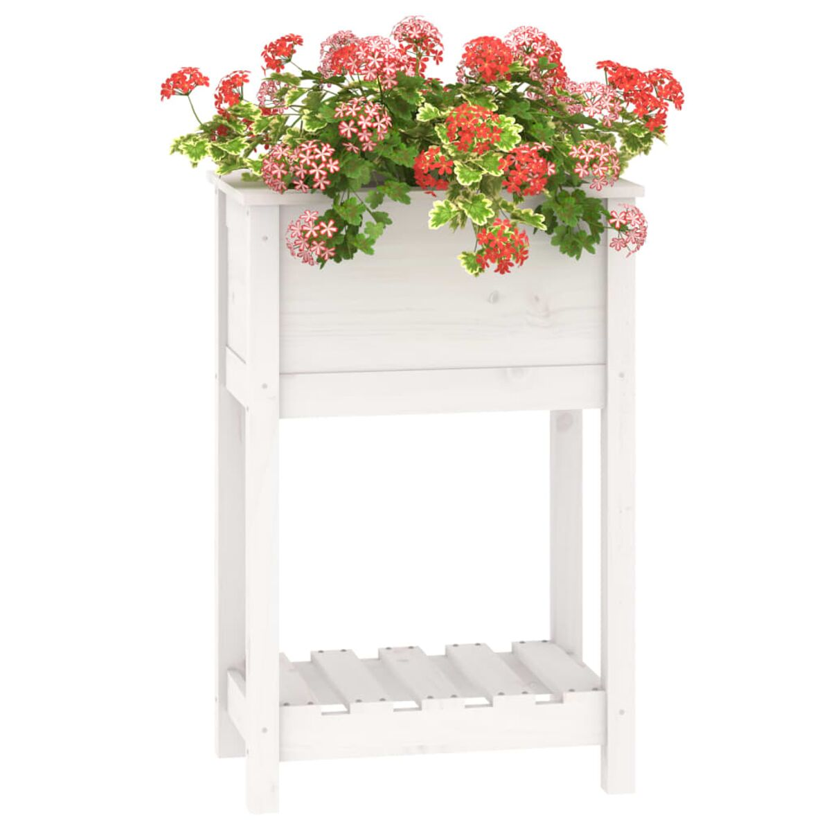 Weißer Holz-Pflanzständer mit Blumen. Rote und grüne Blumen blühen aus dem Pflanzgefäß.