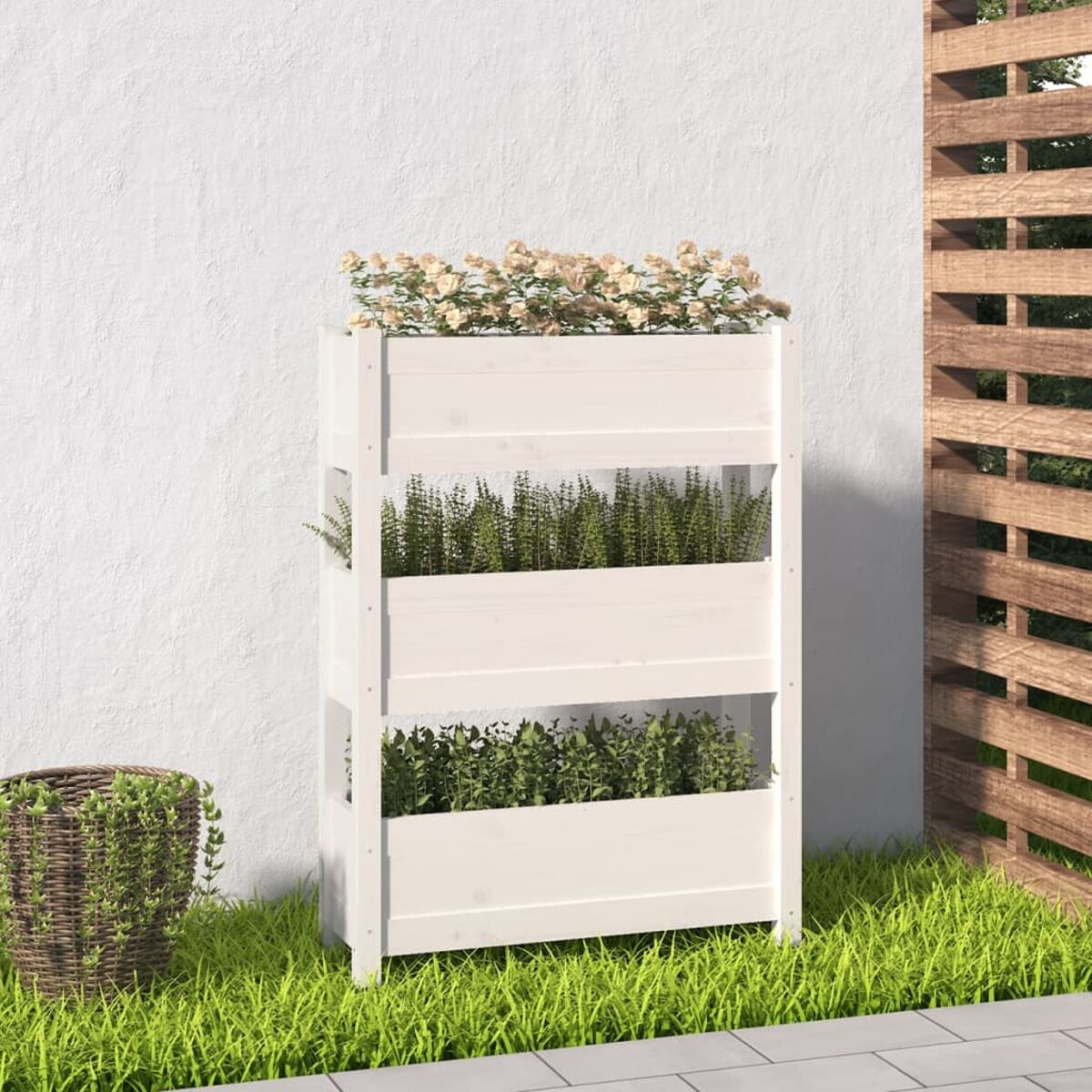 Weißer Holzpflanzer mit drei Pflanzebenen. Grünes Gras und weiße Wand im Hintergrund.