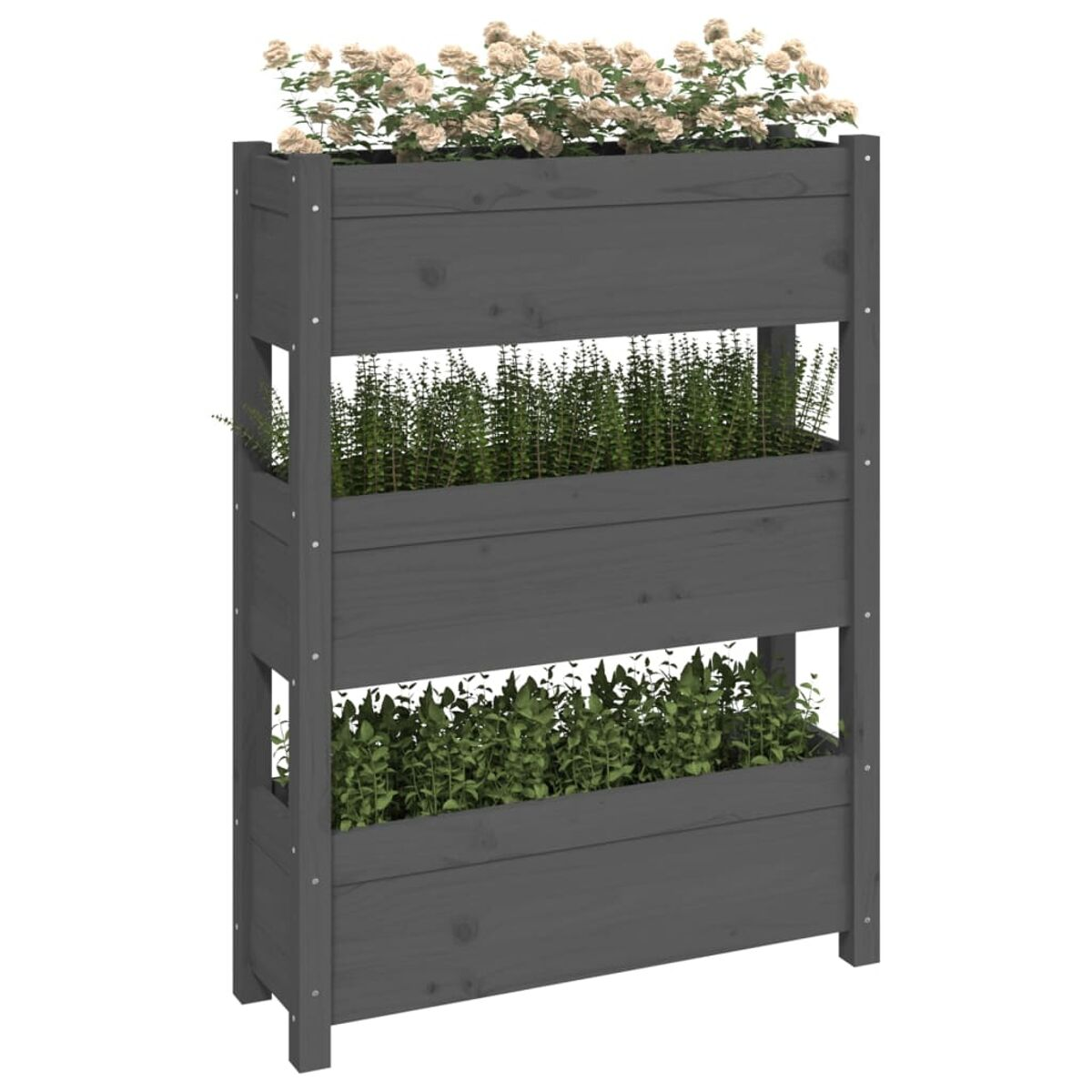 Grauer vertikaler Pflanzkübel aus Holz mit drei Ebenen von Pflanzen und Blumen. Weißer Hintergrund.