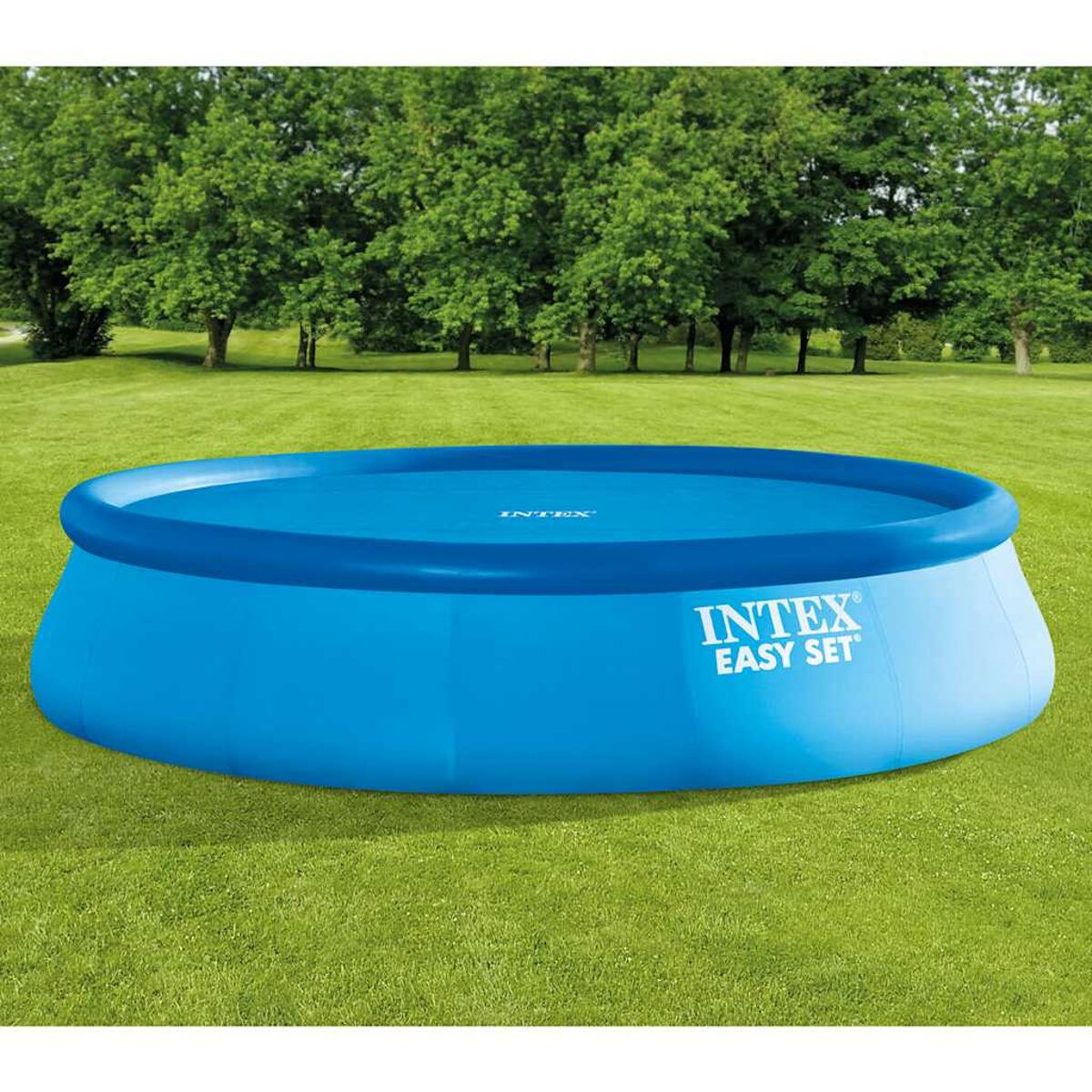 Ein großer blauer Intex Easy Set Pool auf grünem Gras, mit Intex-Logo.