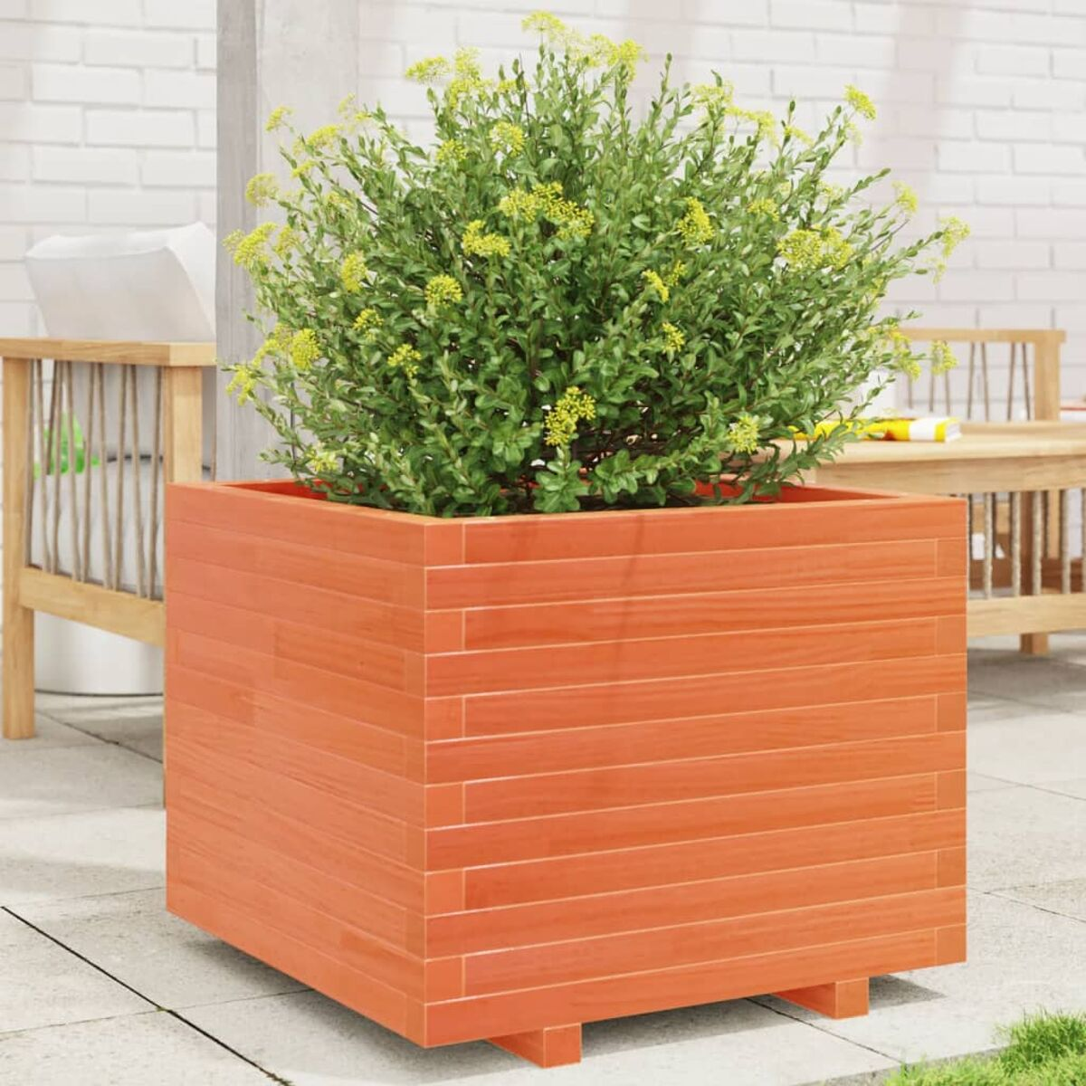 Orangene Holzpflanzkasten mit grüner Pflanze.