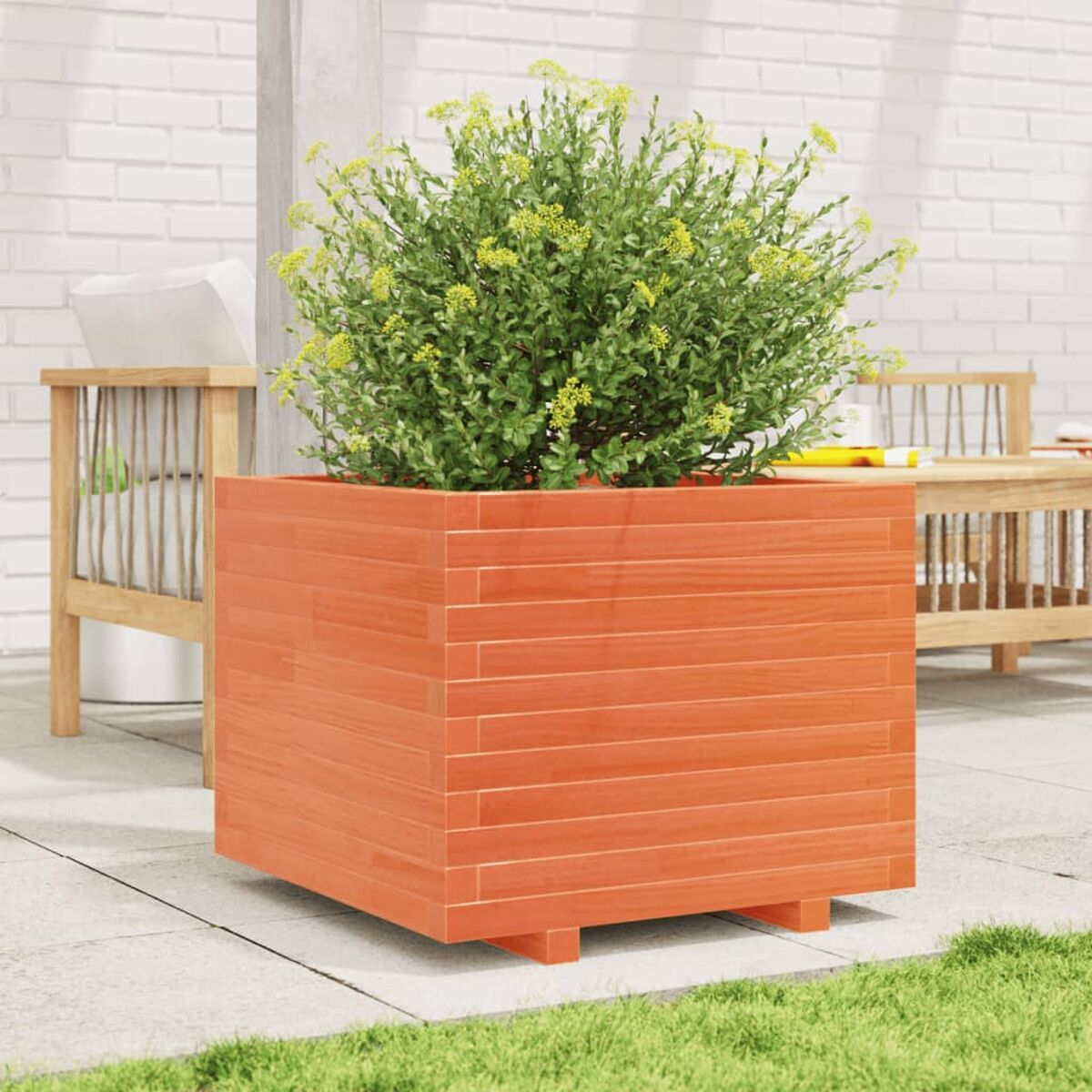 Orangener Pflanzkübel mit grüner Pflanze und gelben Blüten auf einer Terrasse.