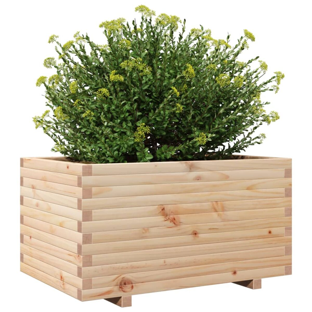 Holzpflanzer mit einer grünen Pflanze. Der Pflanzer ist aus hellem Holz gefertigt.