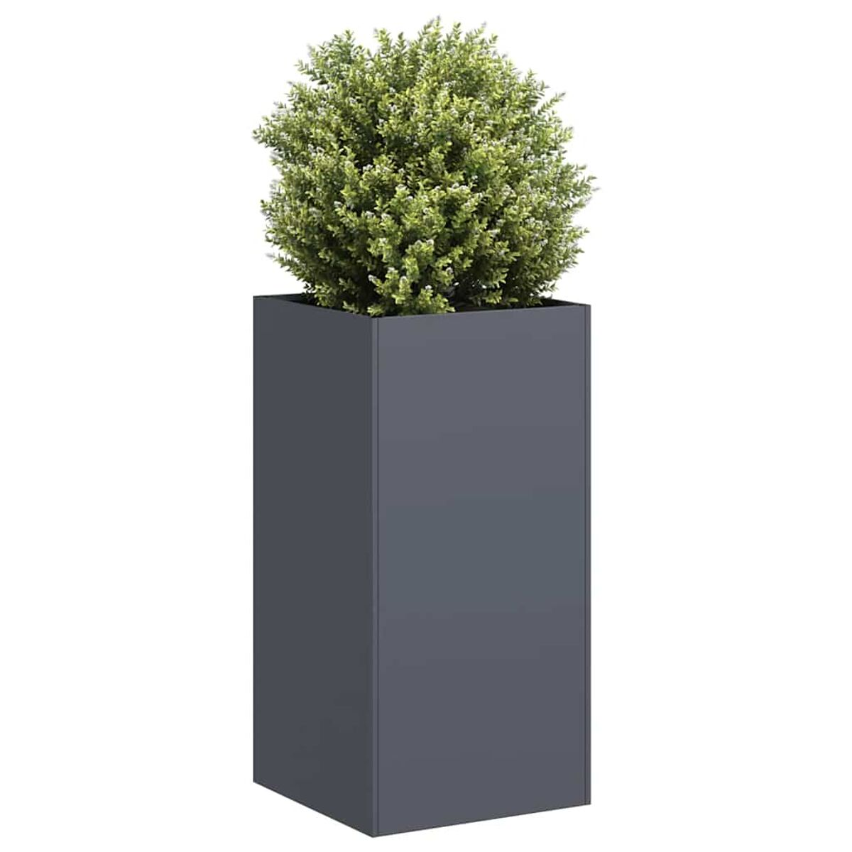 Un'alta fioriera rettangolare grigio scuro con un piccolo cespuglio verde rotondo sopra.