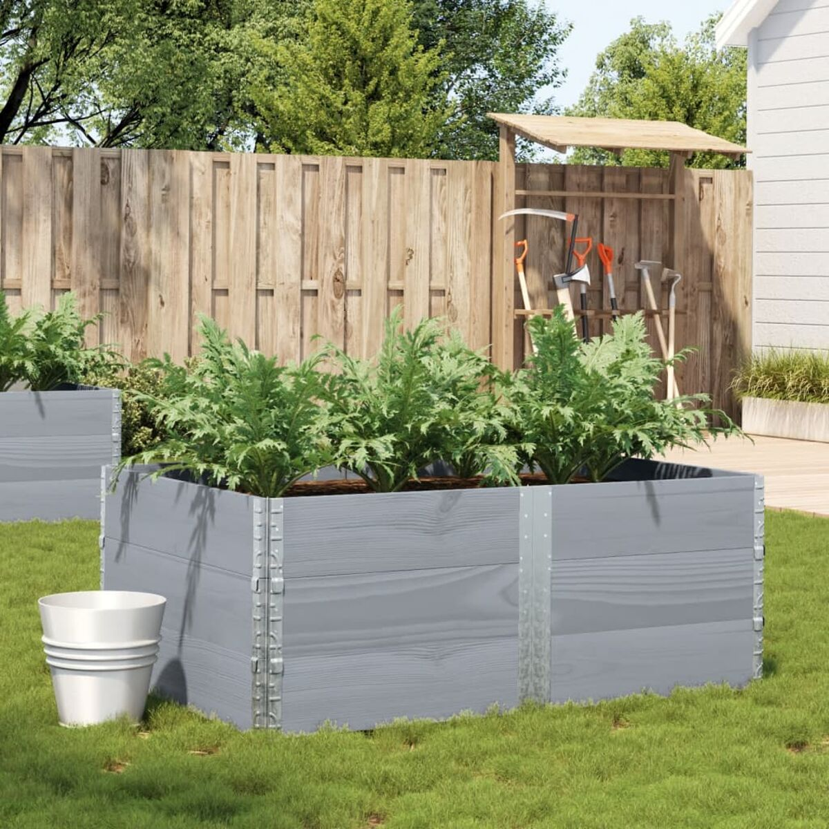 Due fioriere in legno grigio con piante verdi, in un giardino, con recinzione e capannone.