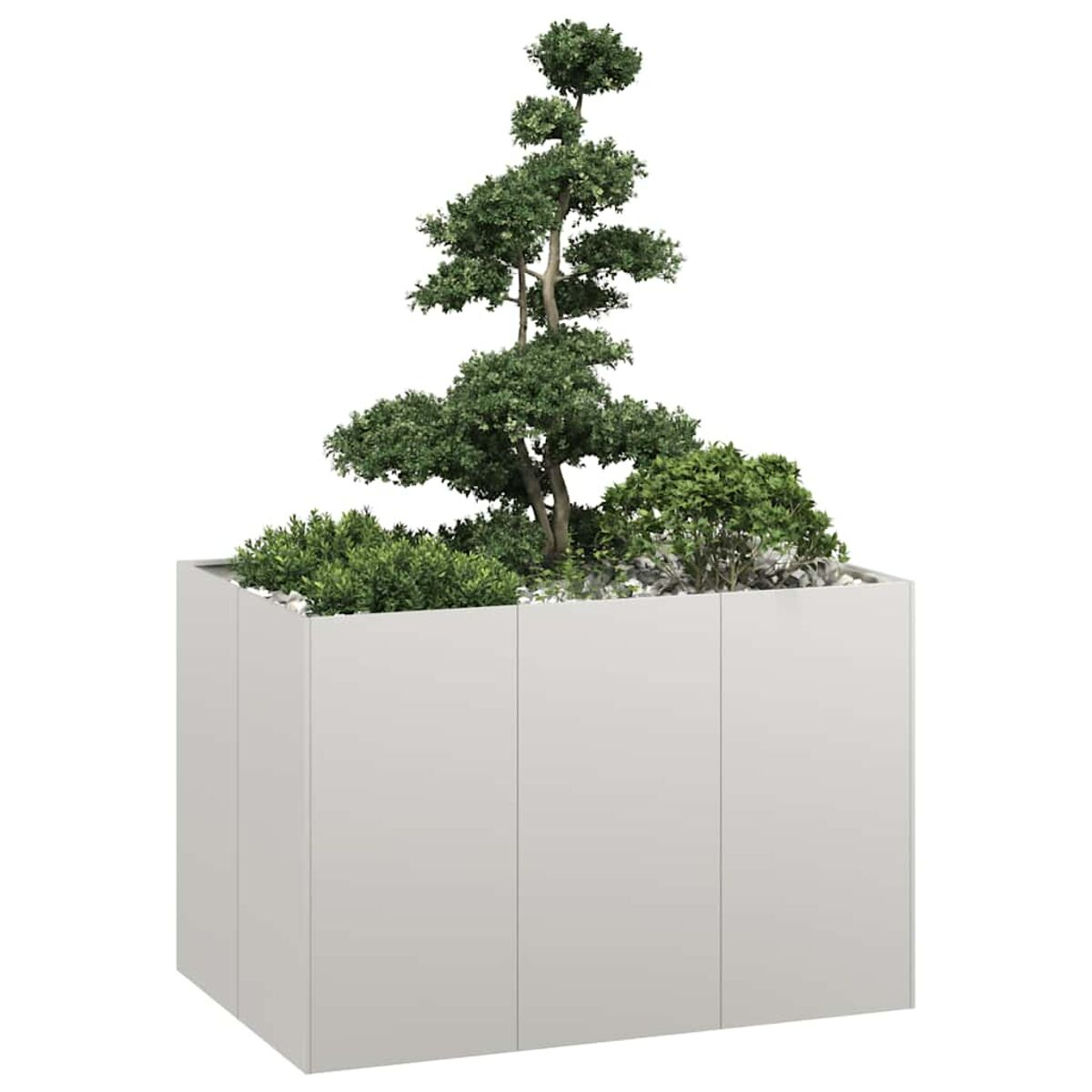 Fioriera rettangolare bianca con un albero grande e piante più piccole all'interno. Su sfondo bianco.