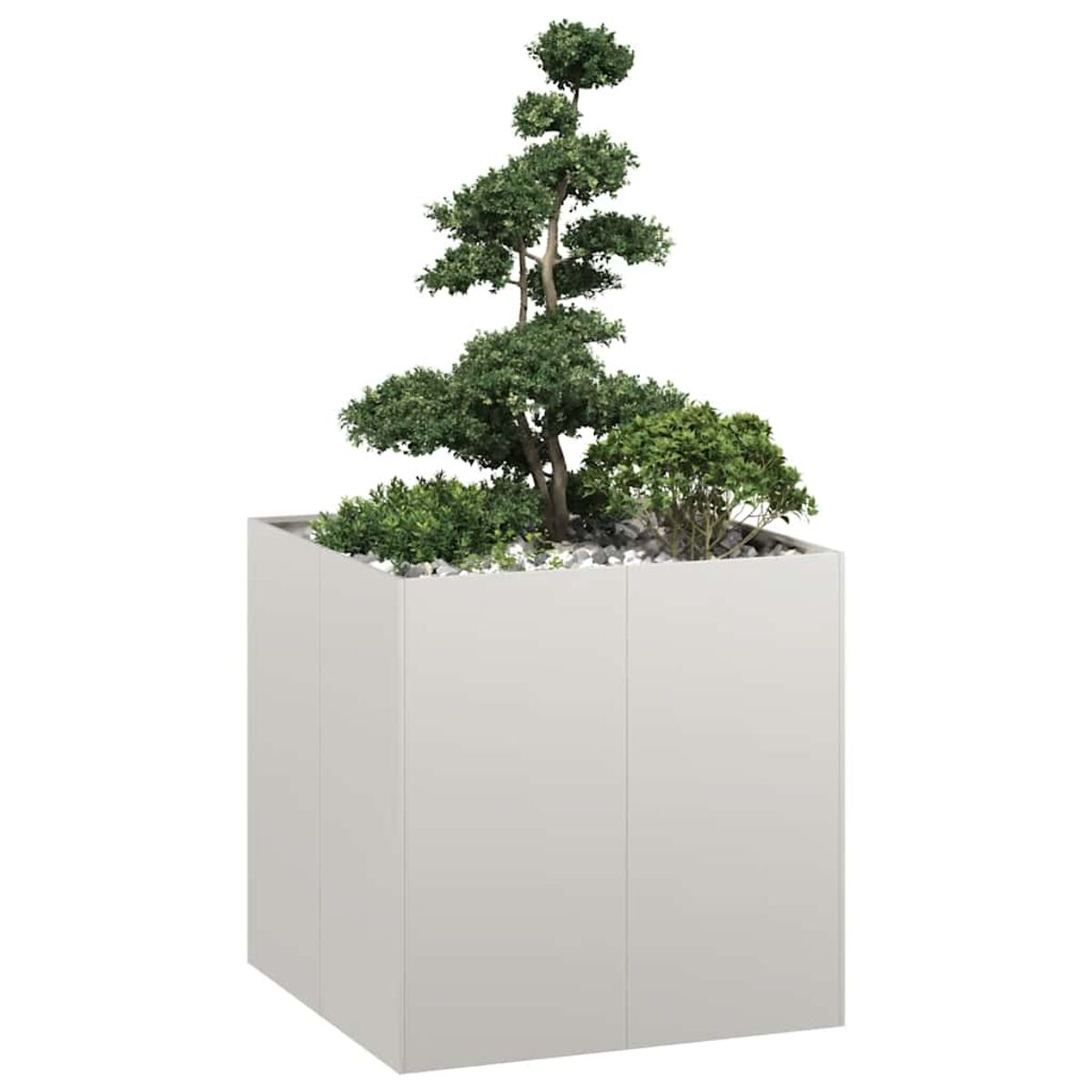 Fioriera quadrata bianca con un bonsai e piccole piante. Sfondo bianco.