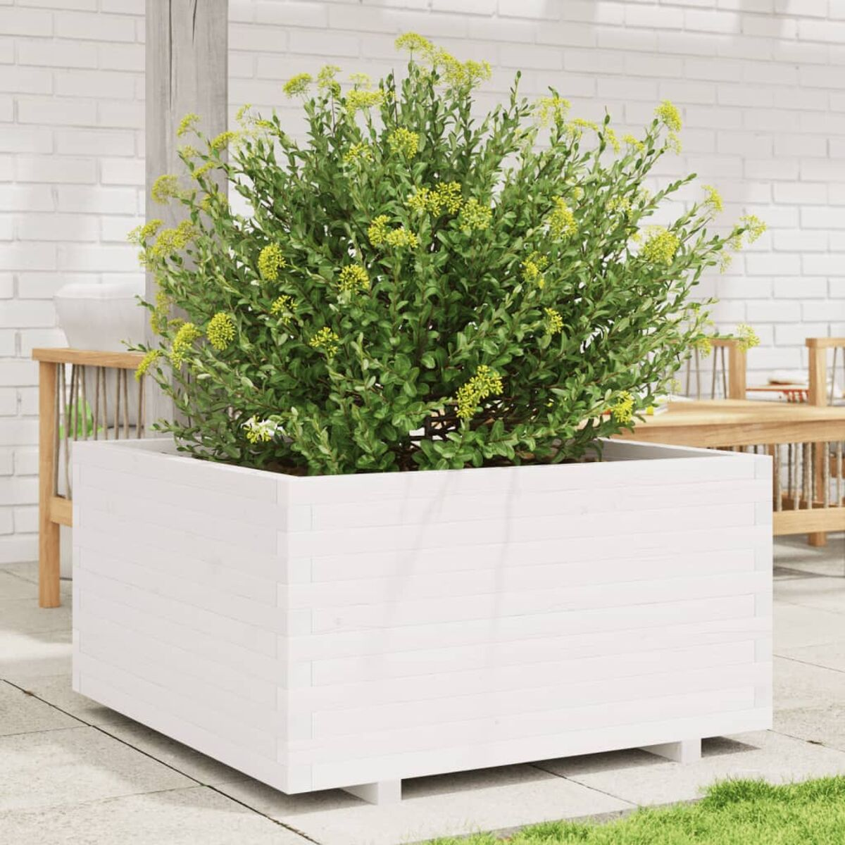 Weißer quadratischer Pflanzkübel mit großer grüner Pflanze, auf gefliestem Patio, Backsteinmauer.