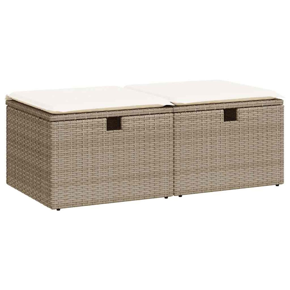 Due contenitori in rattan con cuscini sopra. Gli oggetti sono su sfondo bianco.