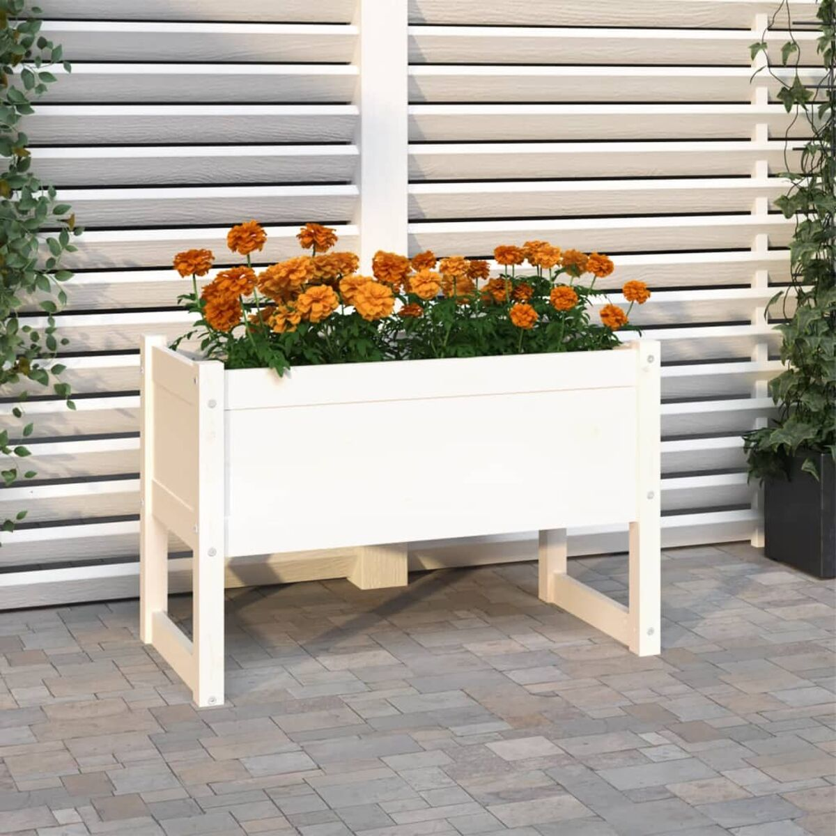 Weißer hölzerner Pflanzkasten mit orangefarbenen Blumen. Der Hintergrund ist ein weißer Zaun.