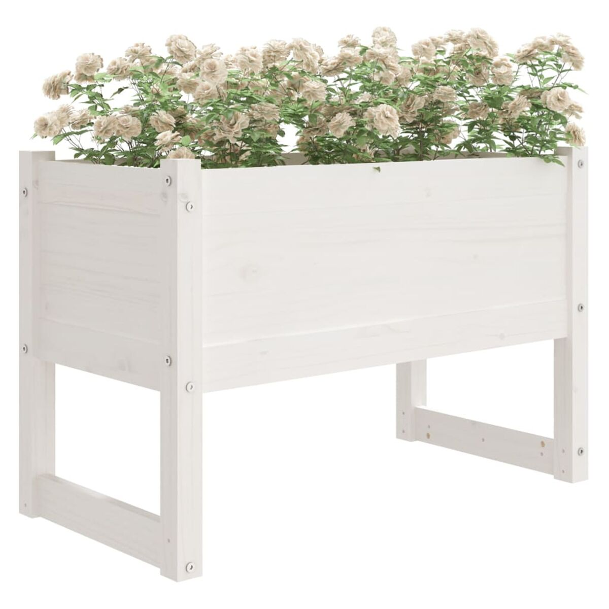 Ein weißer Pflanzkasten aus Holz mit Blumen. Der Pflanzer ist rechteckig und erhöht.