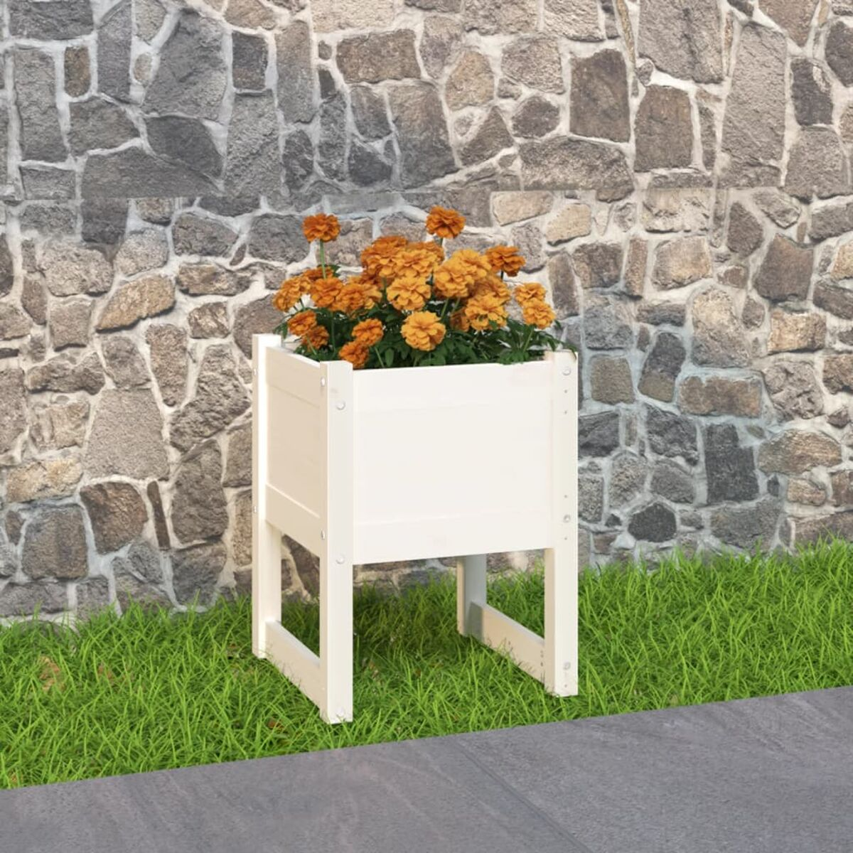 Eine weiße Pflanzkiste aus Holz, gefüllt mit orangefarbenen Blumen, vor einer Steinmauer und Gras.