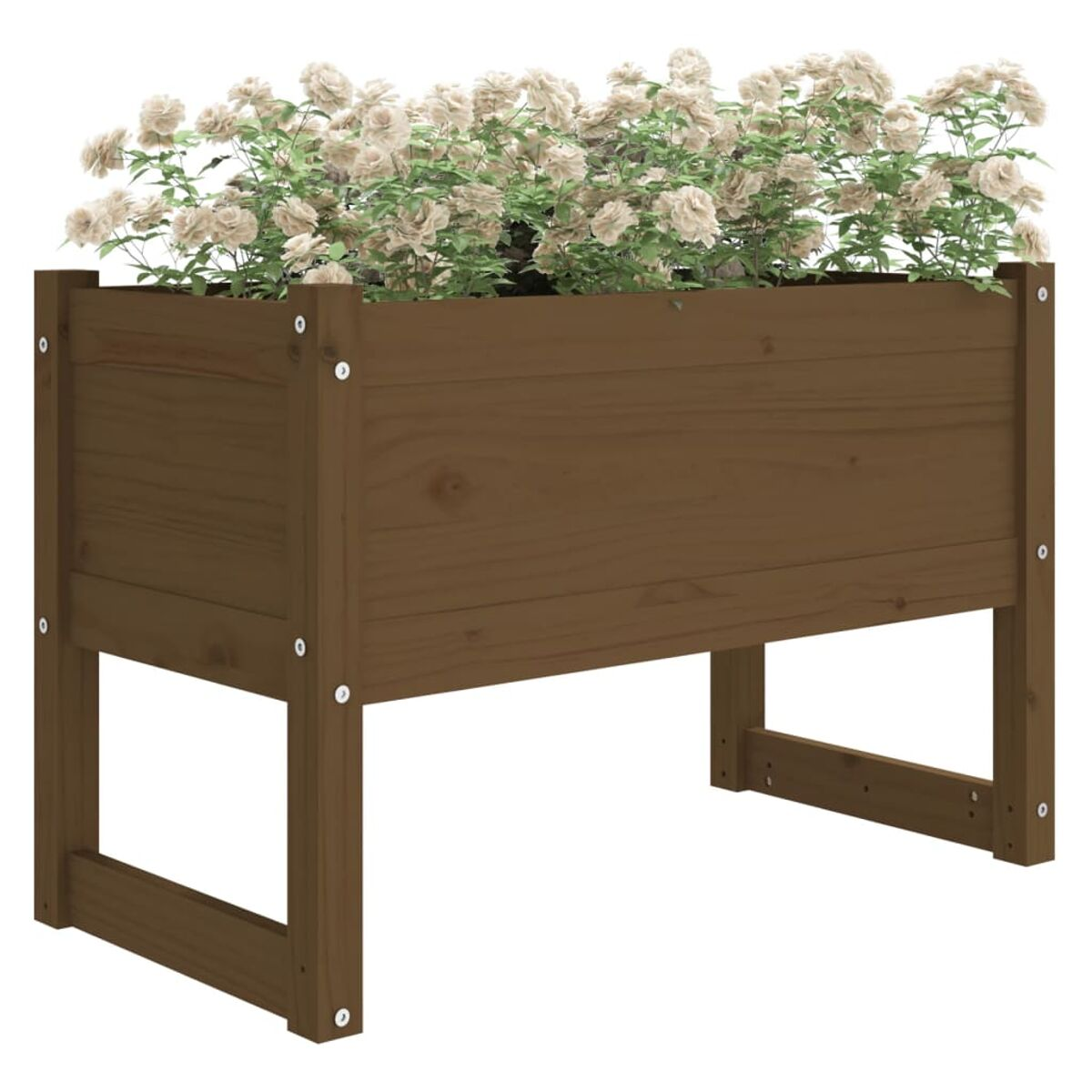 Holzpflanzgefäß gefüllt mit weißen Blumen, vor weißem Hintergrund.