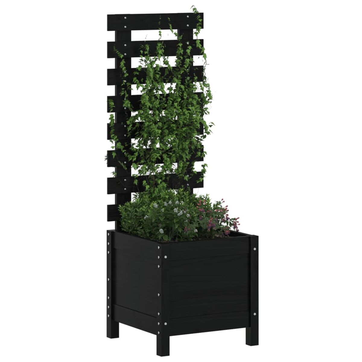 Schwarzer Holzpflanzer mit Spalier, grünen Pflanzen und Blumen. Weißer Hintergrund.
