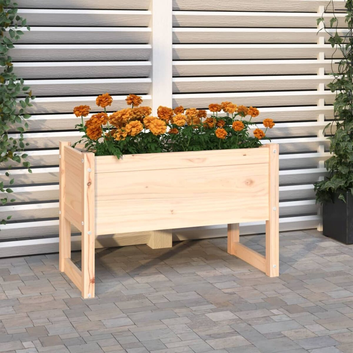 Pflanzkasten aus Holz mit orangefarbenen Blumen. Weißer und Holzgrund.