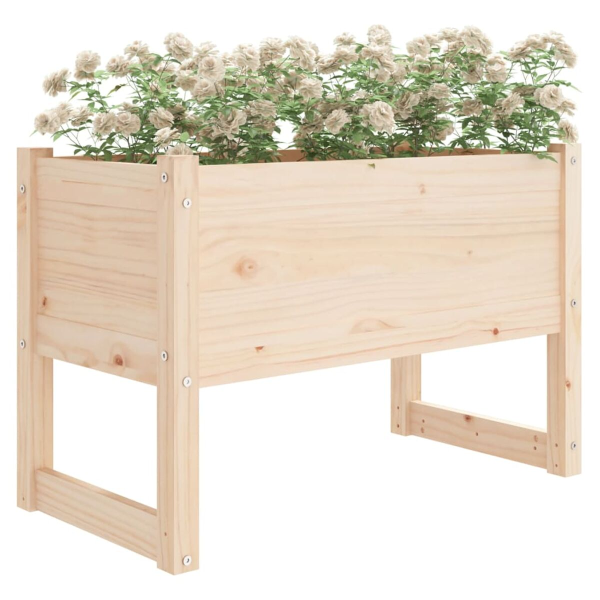 Holz-Pflanzkasten gefüllt mit weißen Blumen.