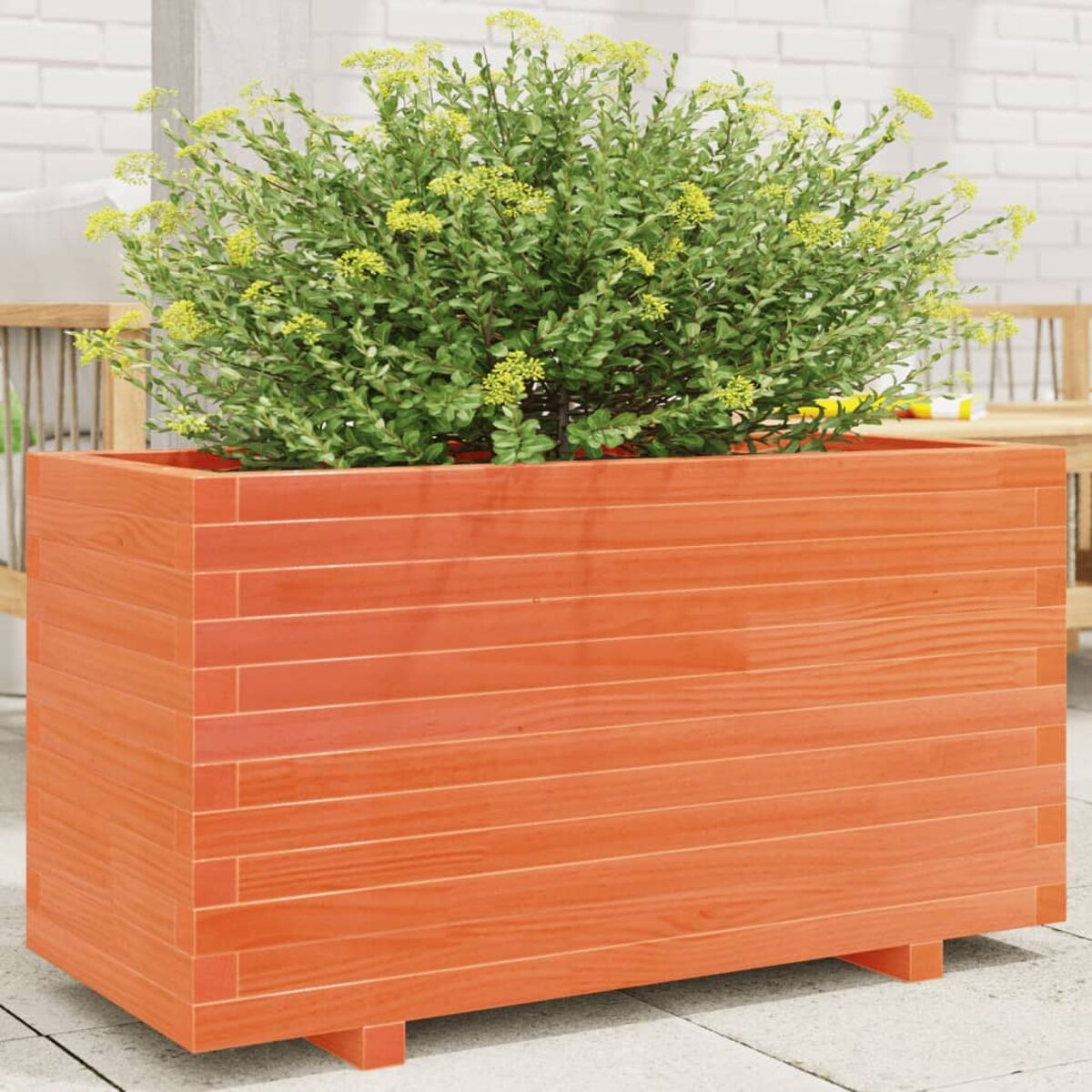 Orangener Holzpflanzkübel mit einem Busch grüner Pflanzen. Auf einer Steinterrasse.