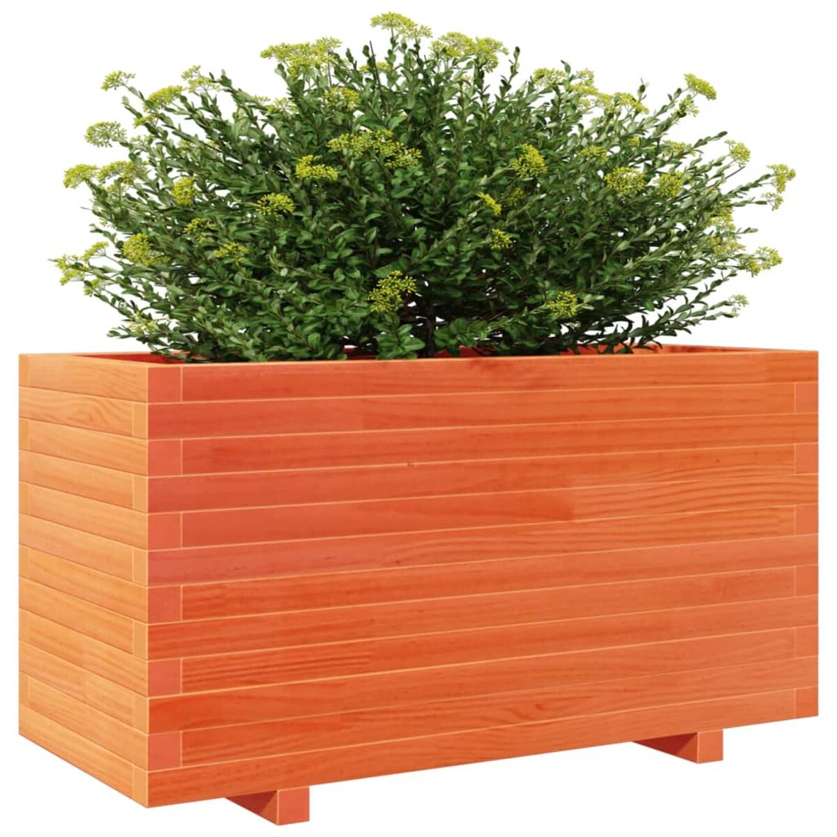 Rötlich-brauner Holzblumentopf mit Pflanzen. Der Hintergrund ist weiß.
