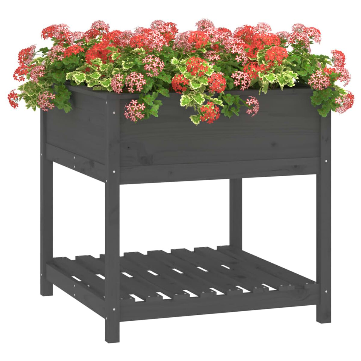Hochbeet mit Blumen. Es hat ein unteres Regal und ist grau gestrichen.