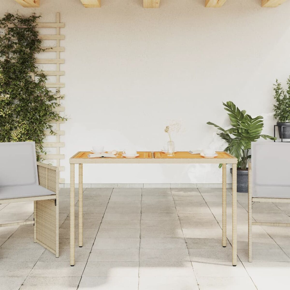 Ein Terrassenset mit Tisch und Stühlen. Weißer Hintergrund mit Pflanzen und Wand.