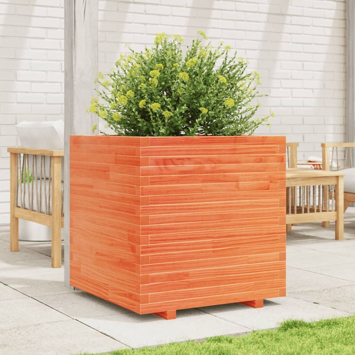 Ein quadratischer Holzpflanzkübel mit einem Busch. Der Pflanzkübel ist orangefarben.