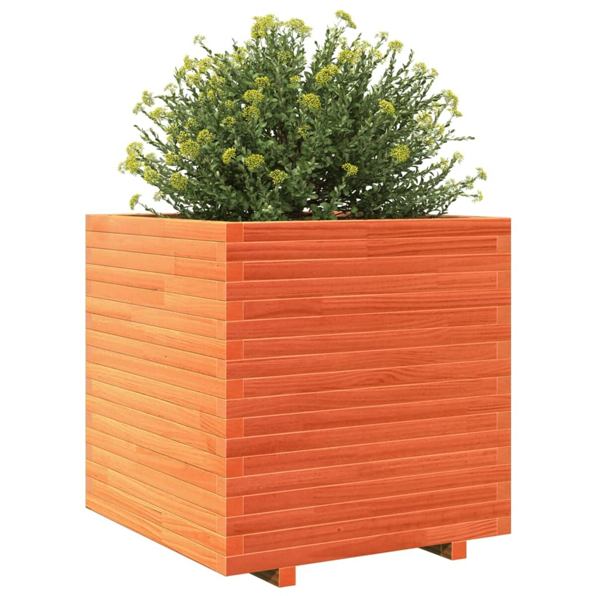 Ein quadratischer Holzpflanzkübel mit einem Strauch. Der Pflanzkübel hat ein geschichtetes Holzdesign.
