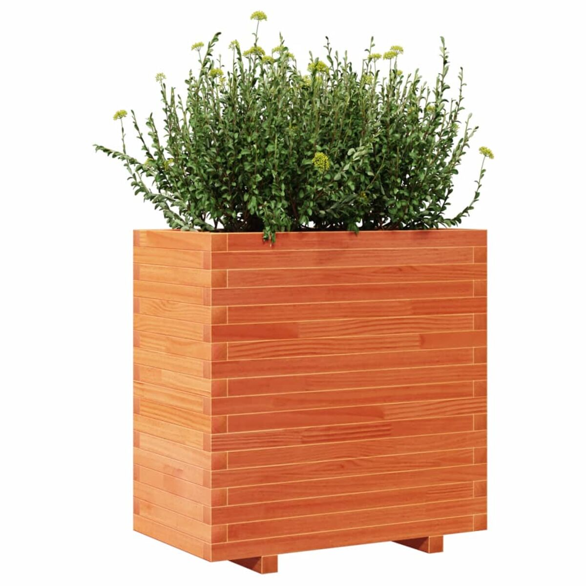 Pflanzkasten aus Holz mit grünen Pflanzen. Orange-braune Farbe, kastenförmig.
