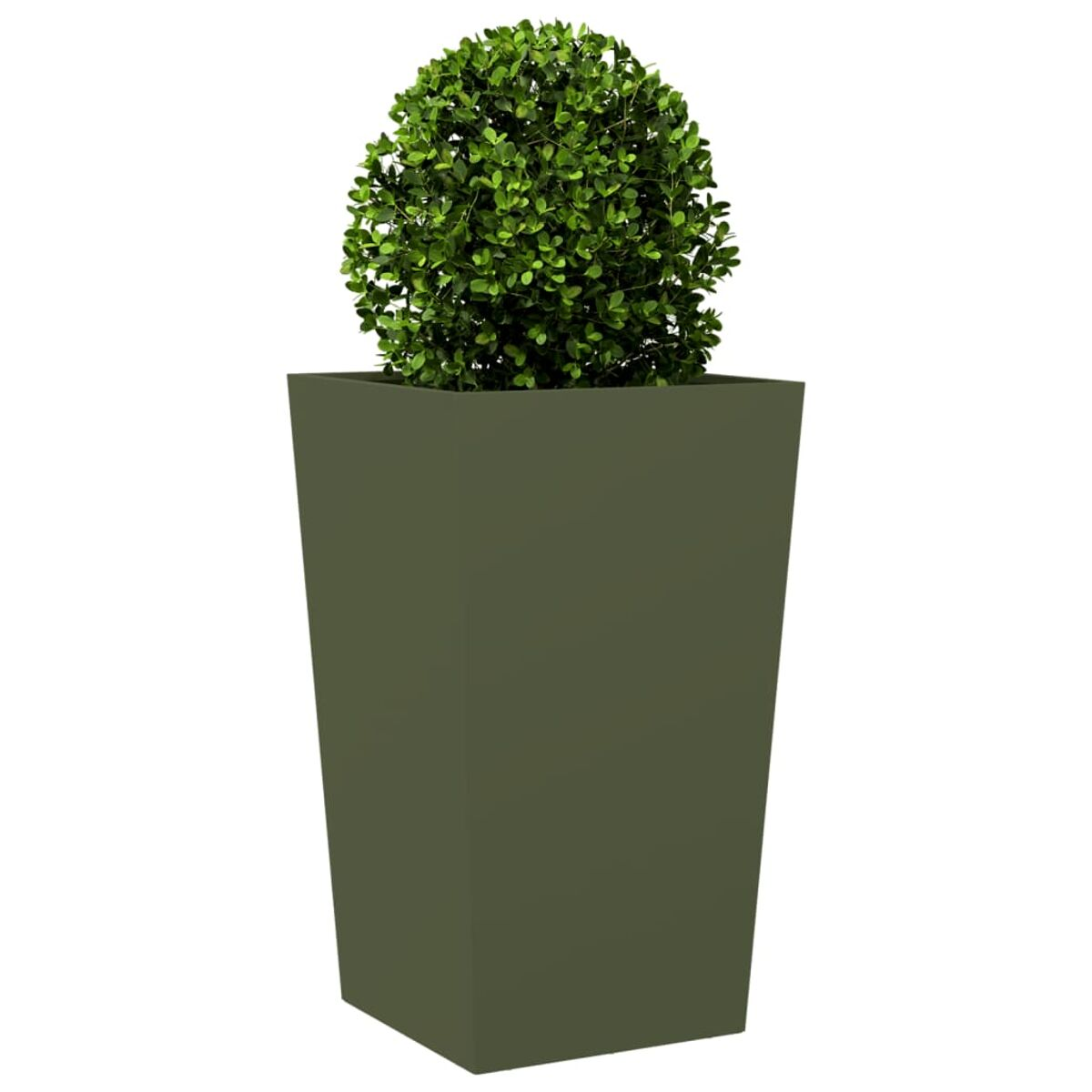 Fioriera quadrata verde con pianta verde a forma di palla su sfondo bianco.