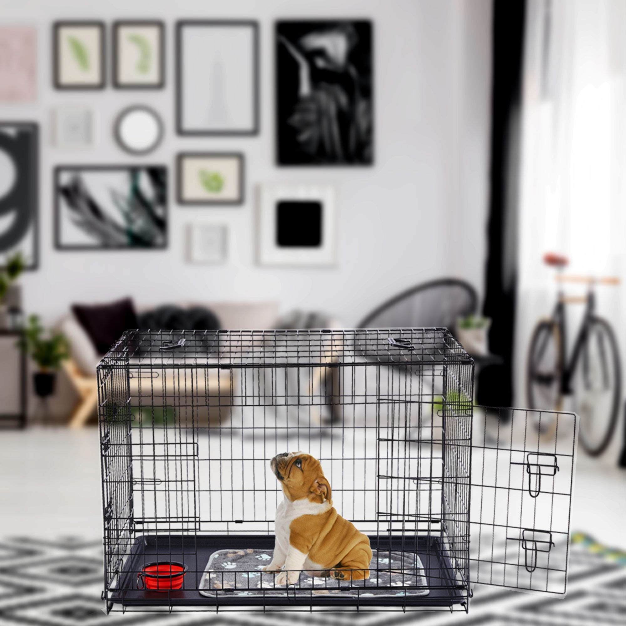 Hund in schwarzem Metallkäfig, offene Tür. Innenansicht.
