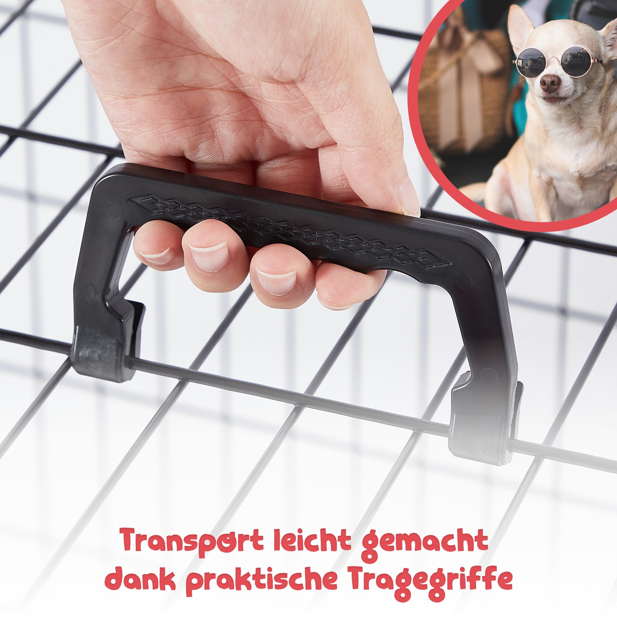 Eine Hand hält einen schwarzen Griff einer Haustiertrage mit einem Hund mit Sonnenbrille im Hintergrund.
