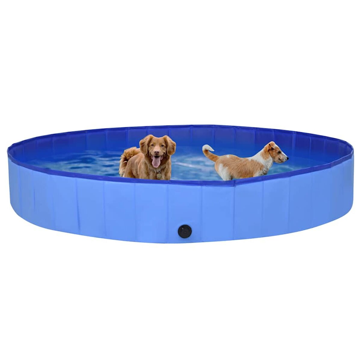 Zwei Hunde in einem blauen Pool. Einer ist braun und der andere braun-weiß.