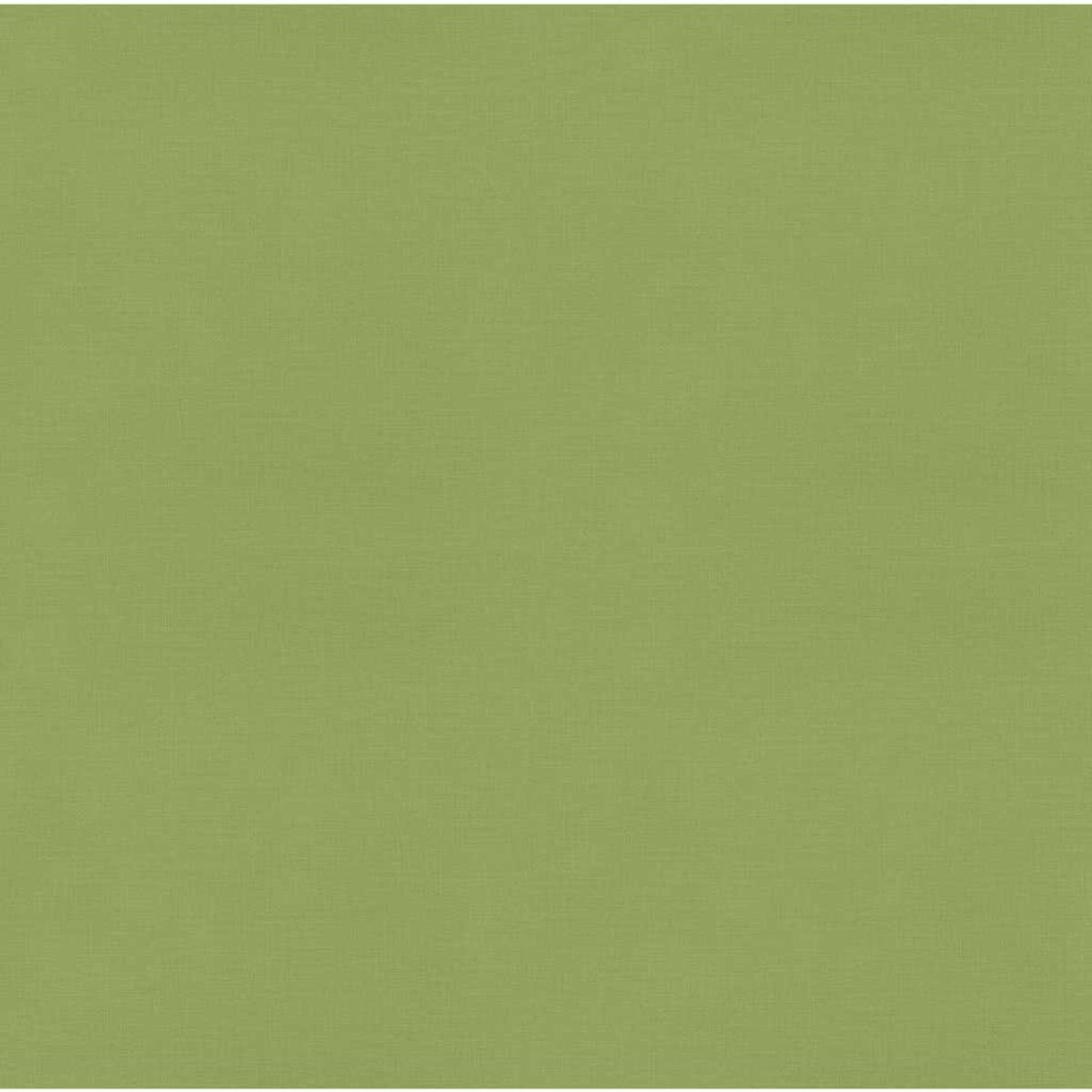 Uno sfondo verde chiaro uniforme, che riempie il fotogramma.