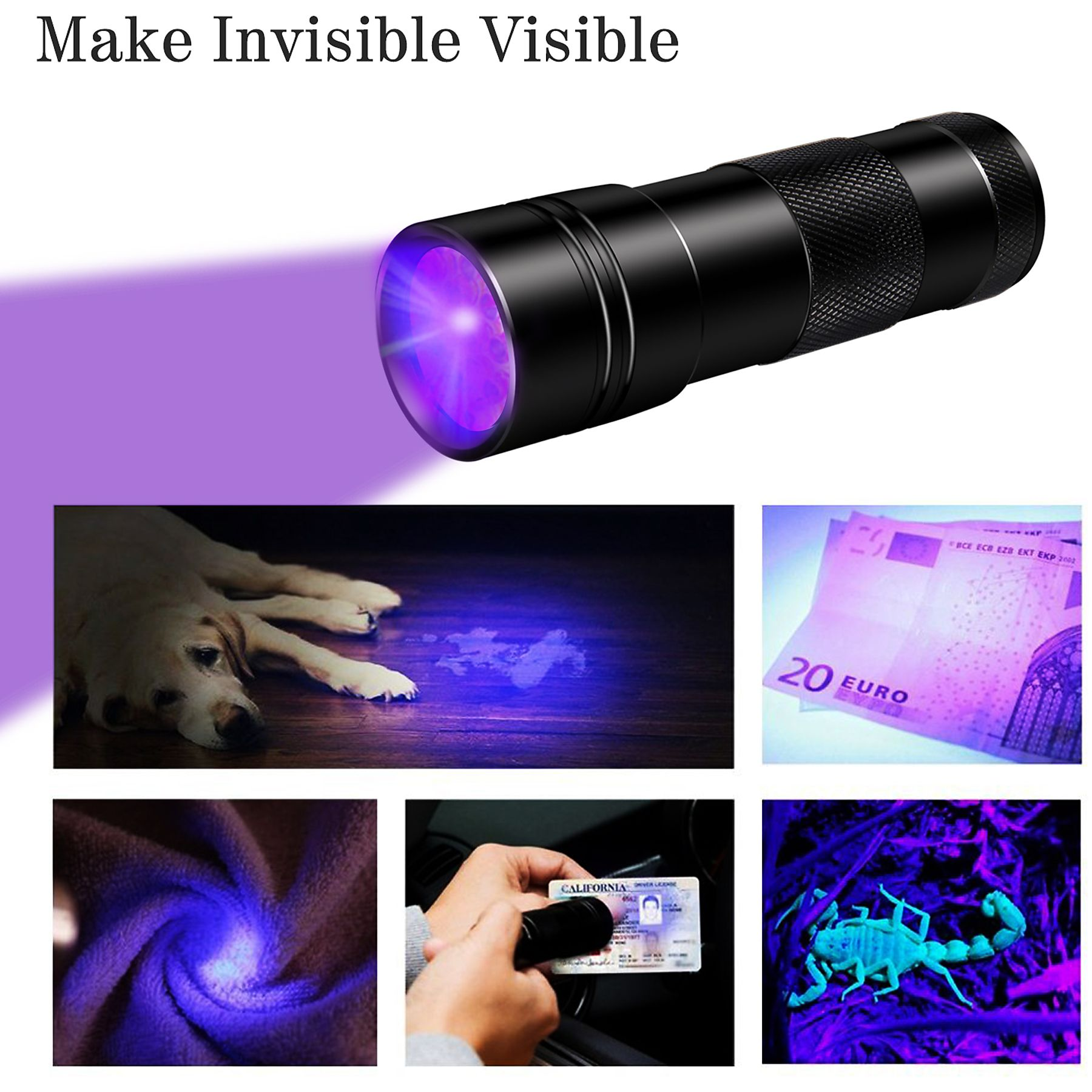 Eine schwarze Taschenlampe, die UV-Licht ausstrahlt. Demonstrationen mit Hund, Geld usw.