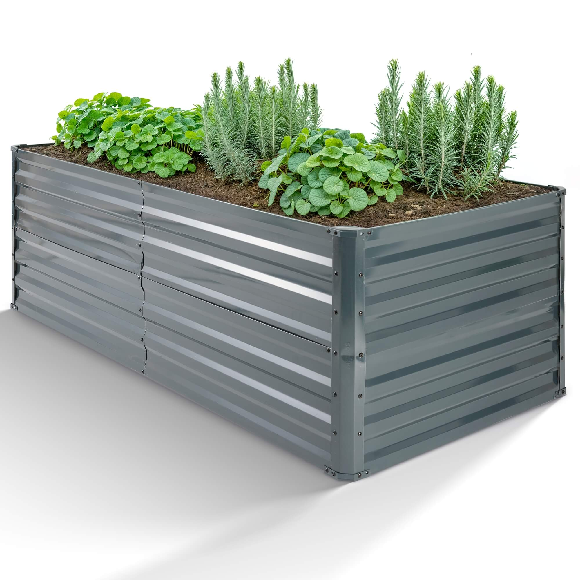 Rechteckiger Metall-Gartenpflanzer mit Pflanzen. Graue Farbe, Pflanzen oben, weißer Hintergrund.
