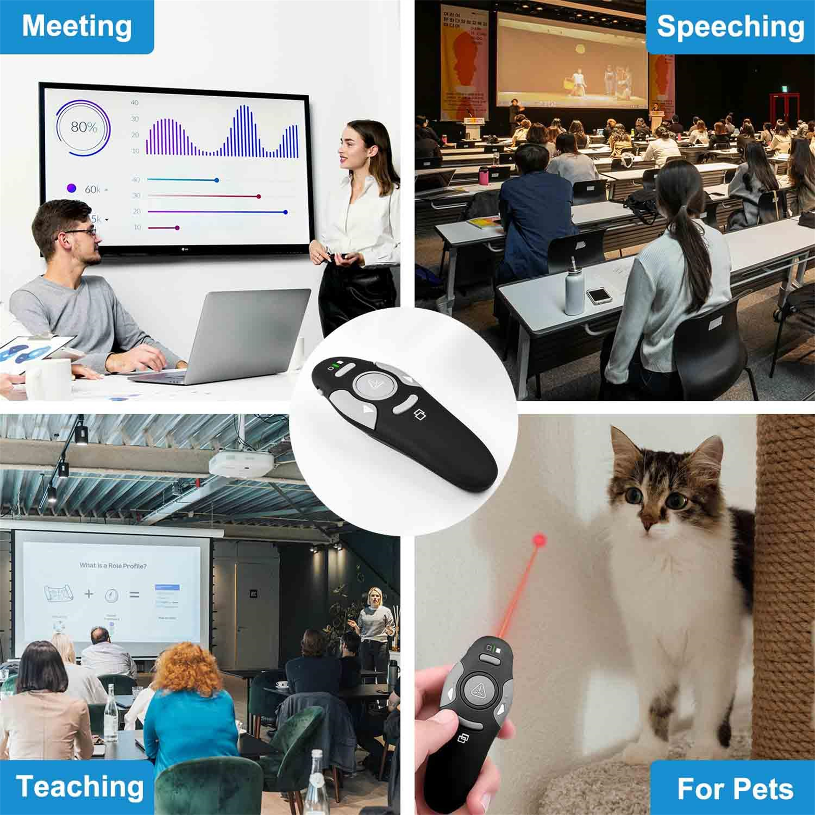 Vier Bilder: Präsentation, Meeting, Lehre und Haustier mit Laserpointer.