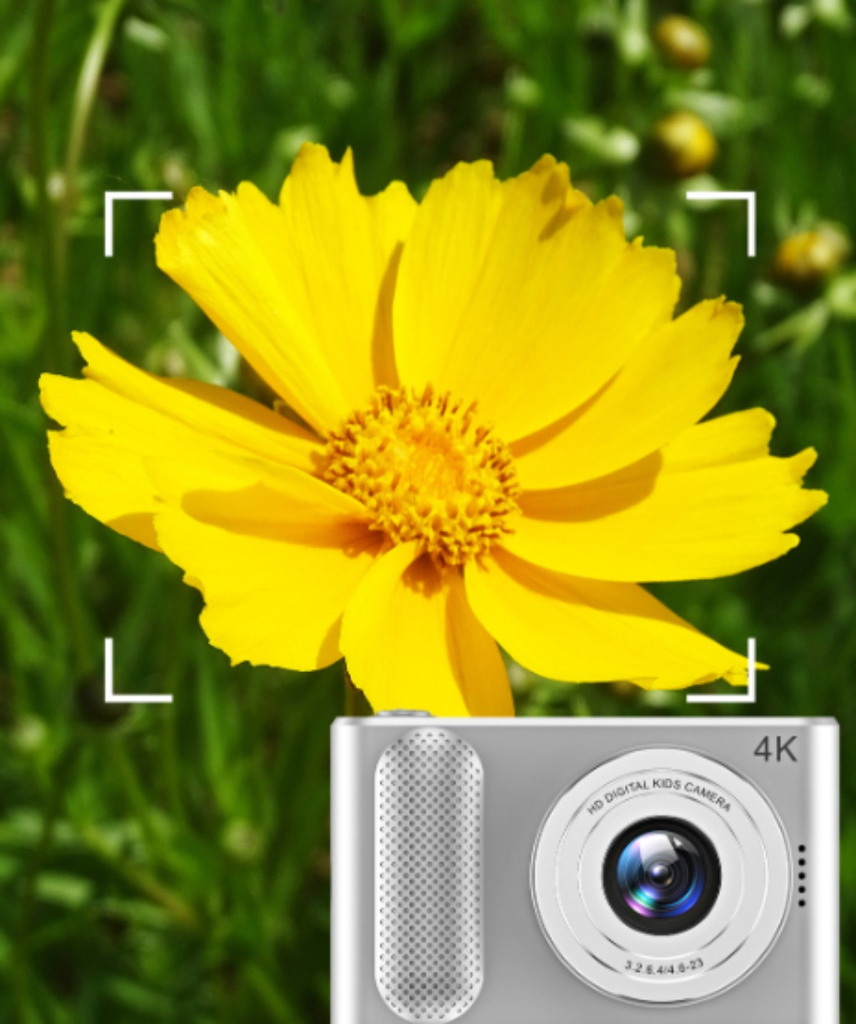 Gelbe Blume mit Kamera und weißen Klammern darum herum.