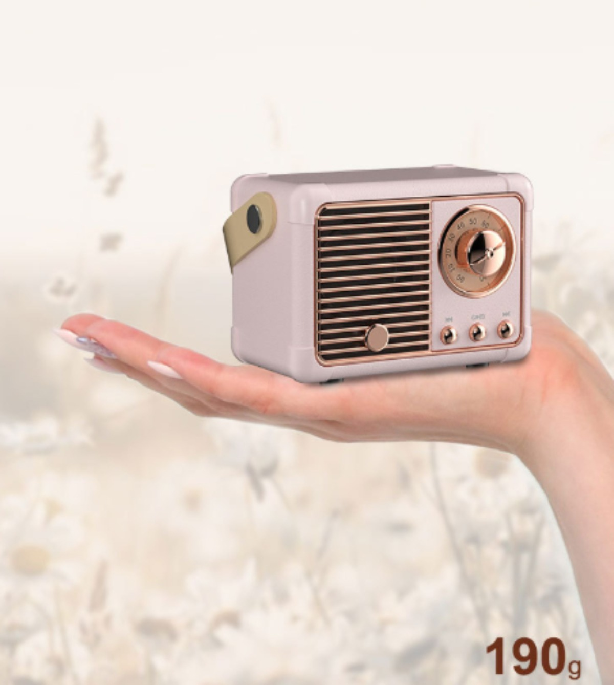 Ein kleines Retro-Radio wird in einer Hand gehalten, mit Blumen im Hintergrund.