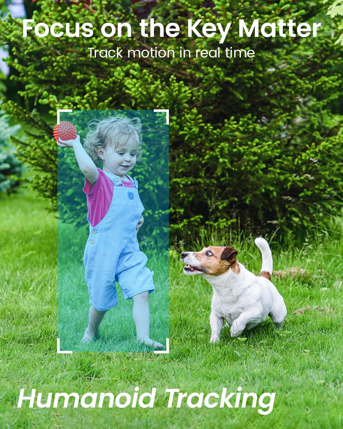 Ein Kind und ein Hund auf Gras, das Kind hält einen roten Ball. Der Hund rennt auf das Kind zu.