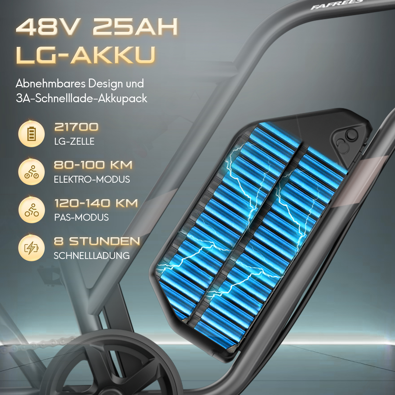 Ein schwarzes Akkupack mit Text: 48V 25AH LG-AKKU. Enthält Batteriedetails, Fahrradillustration und Schnellladung.