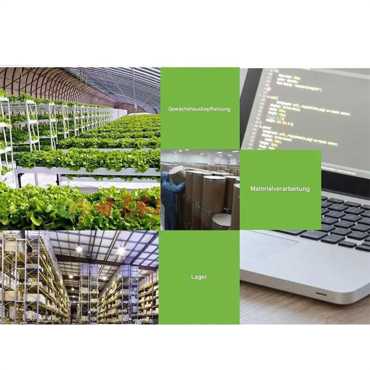 Collage aus Gewächshaus, Materialverarbeitung, Lager und Laptop.