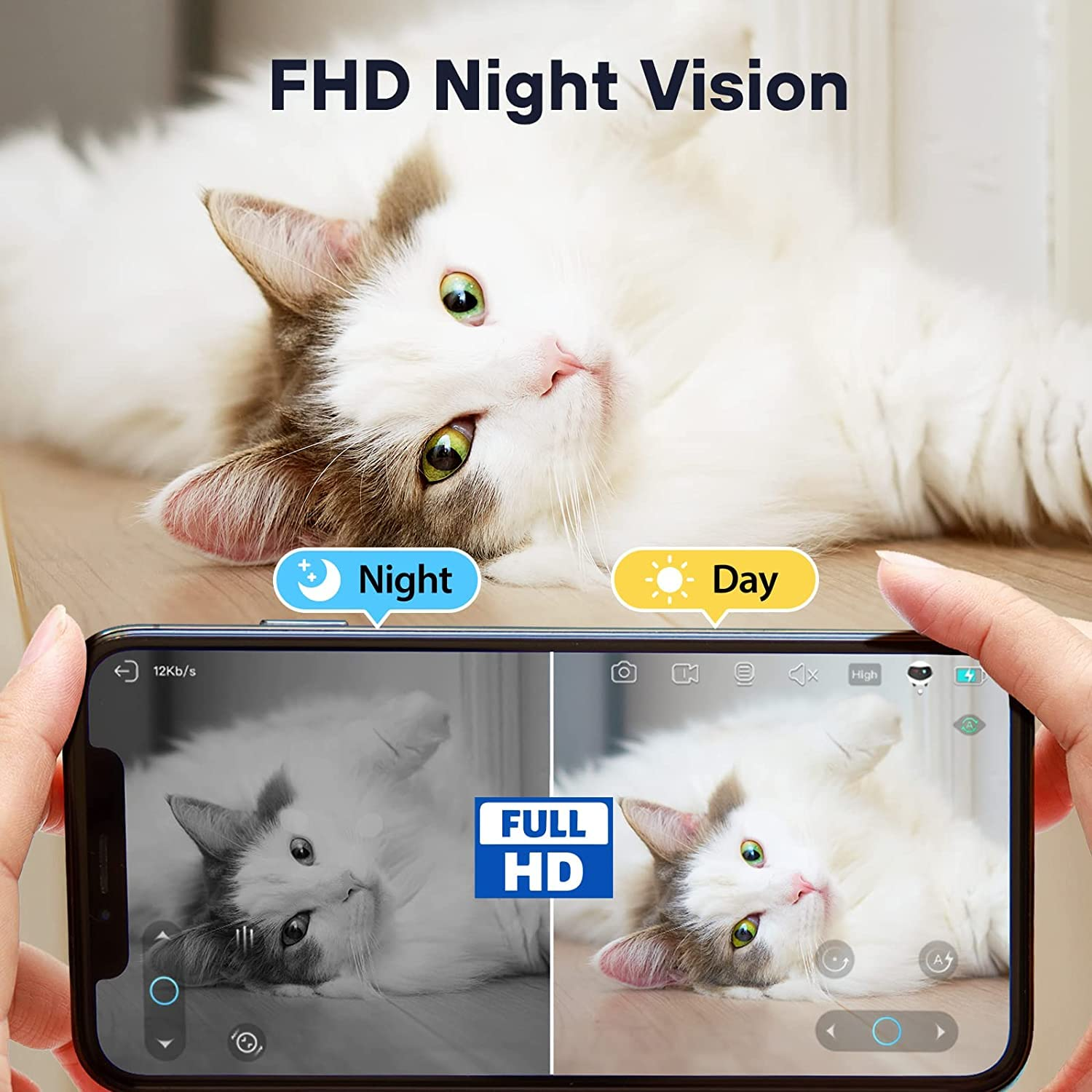 Smartphone-Bildschirm, der eine Katze im Tag- und Nachtmodus zeigt. Text: FHD-Nachtsicht.