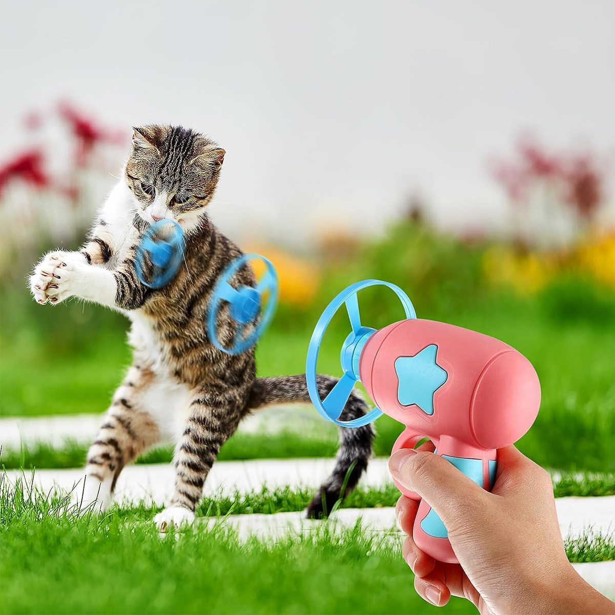Eine Katze spielt mit einem Spielzeugventilator. Der Ventilator ist rosa und blau. Die Katze springt, um ihn zu fangen.
