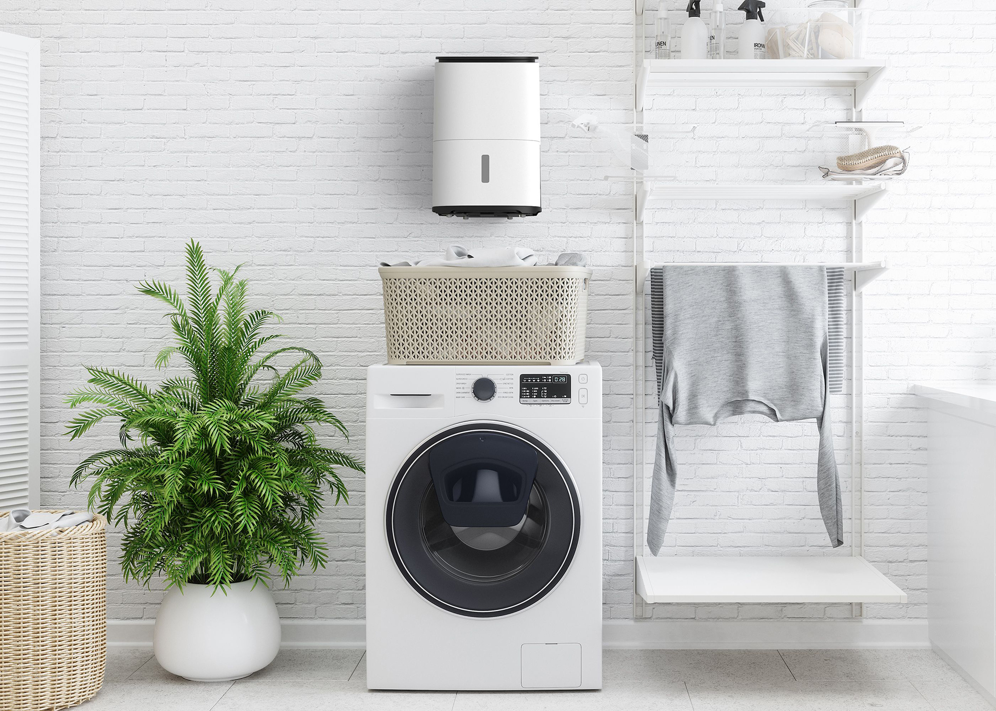 Pomieszczenie gospodarcze z pralką, suszarką, koszem i rośliną.